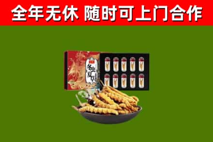 金平区回收冬虫夏草价格