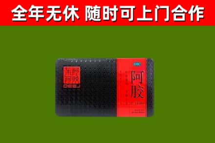 金平区回收阿胶