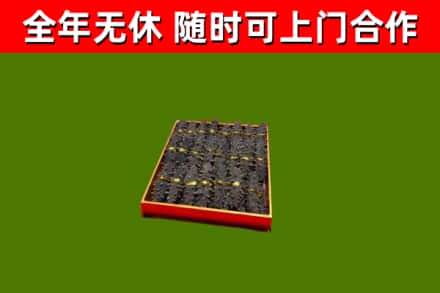 金平区回收海参